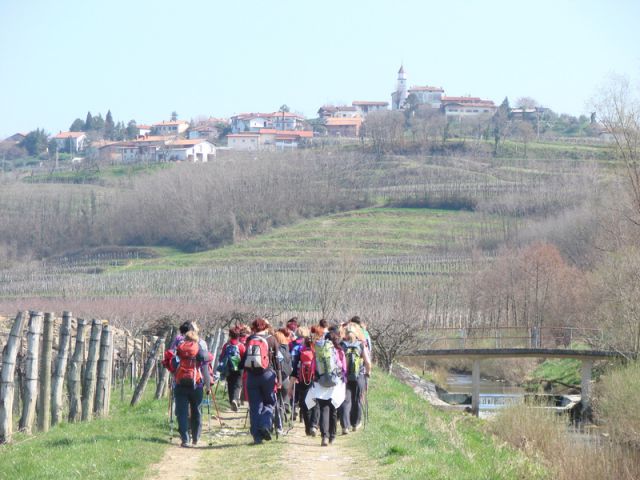 Goriška brda + ogledna t. (mar.2014) - foto