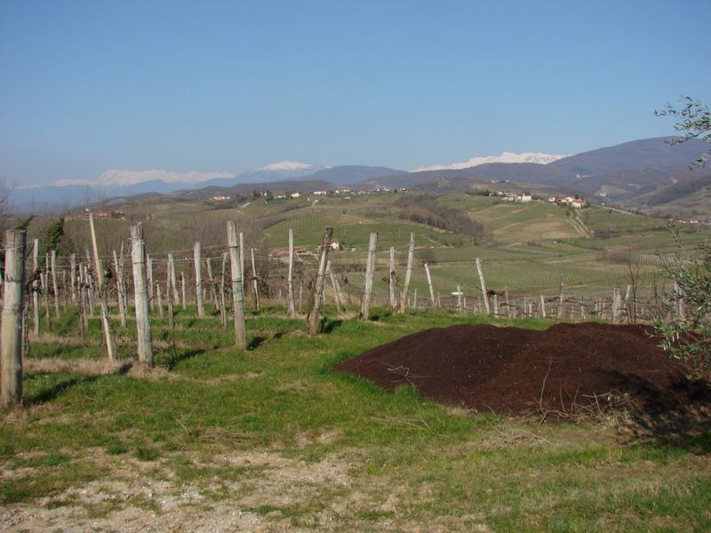 Goriška brda + ogledna t. (mar.2014) - foto povečava