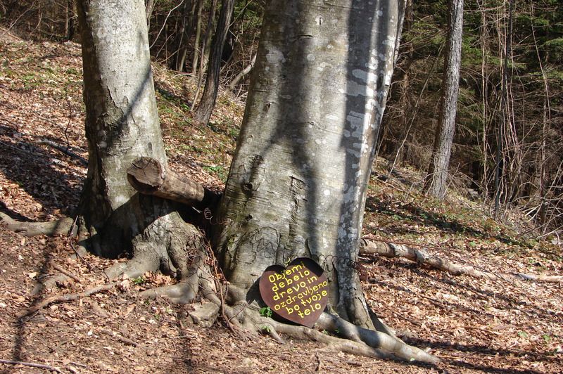 Mirna gora + ogledna t.(mar.2014) - foto povečava