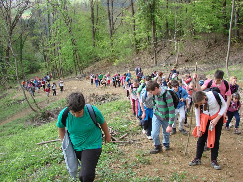 Lovrenc na Pohorju-sreč. mladih pl. apr.2014 - foto povečava