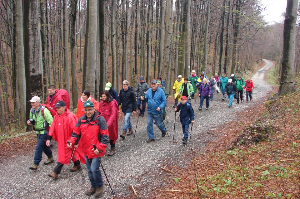 Risnjak 26.4.2014 - foto povečava