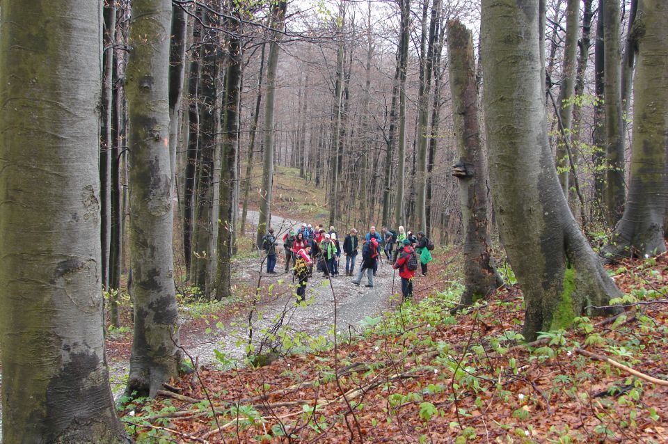 Risnjak 26.4.2014 - foto povečava