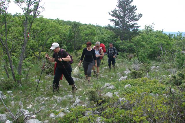 Crikvenica - Smokovo 29.4.2014 - foto