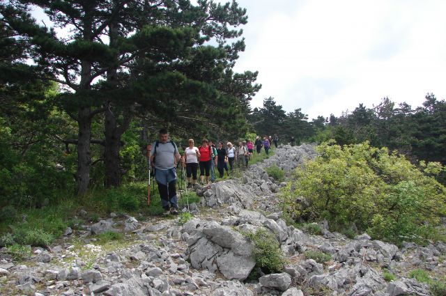 Crikvenica - Smokovo 29.4.2014 - foto