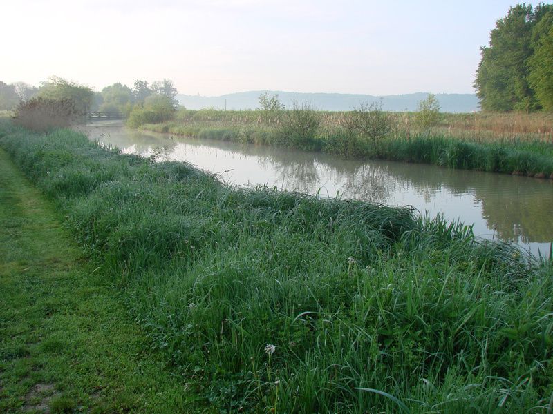 Zavrh 1. majski pohod (maj 2014) - foto povečava