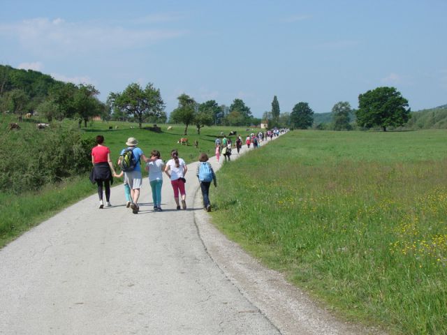 Zavrh 1. majski pohod (maj 2014) - foto