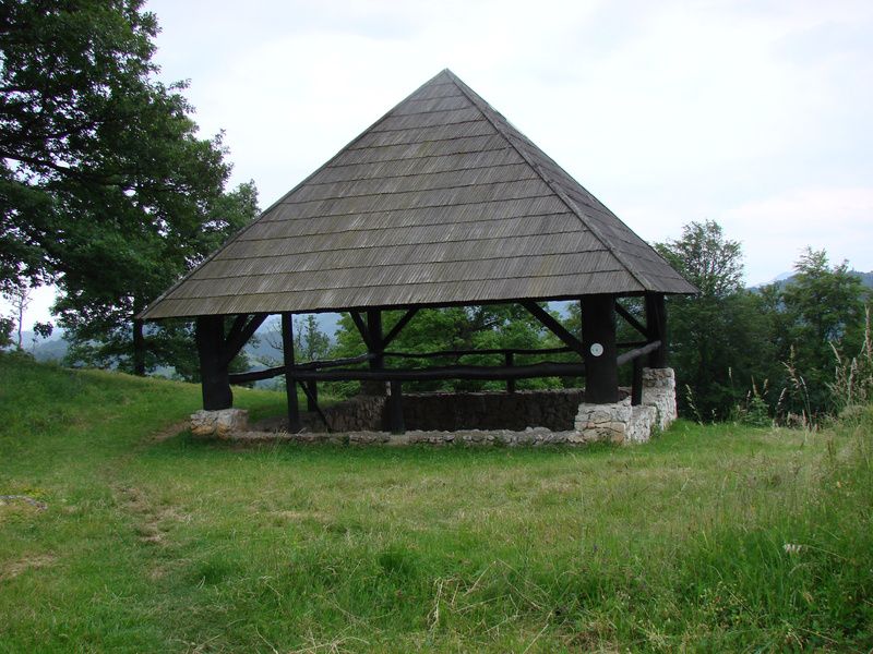 Rifnik-resevna (jun. 2014) - foto povečava