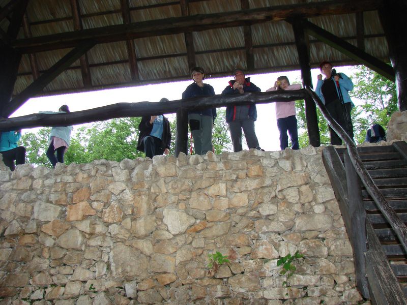 Rifnik-resevna (jun. 2014) - foto povečava