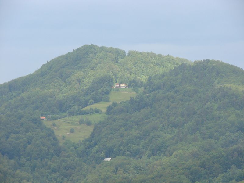 Rifnik-resevna (jun. 2014) - foto povečava