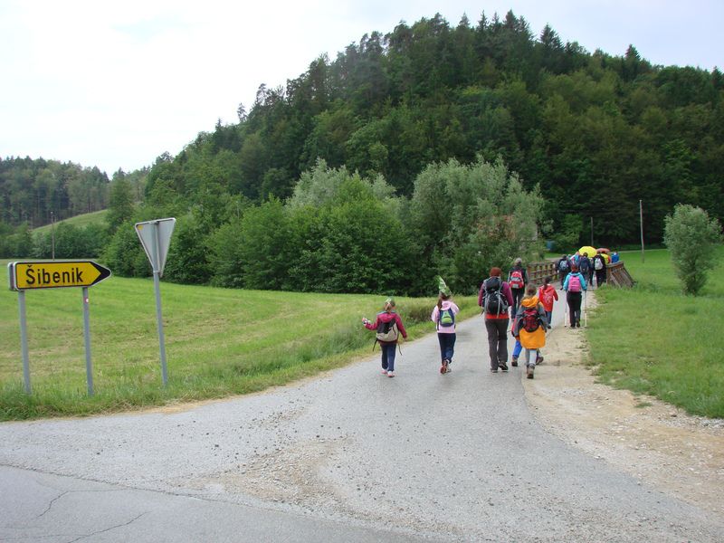 Rifnik-resevna (jun. 2014) - foto povečava