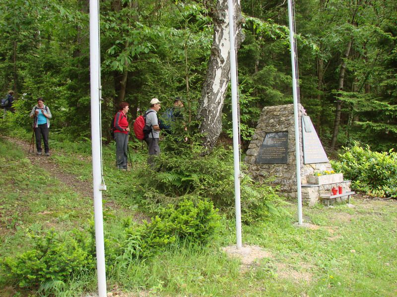 Rifnik-resevna (jun. 2014) - foto povečava