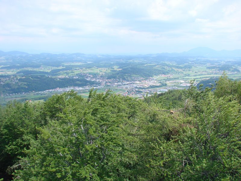 Rifnik-resevna (jun. 2014) - foto povečava