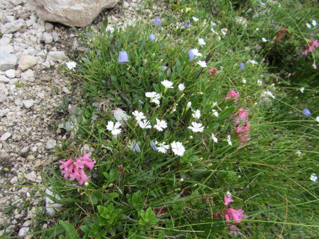 Triglav (avgust 2014) - foto