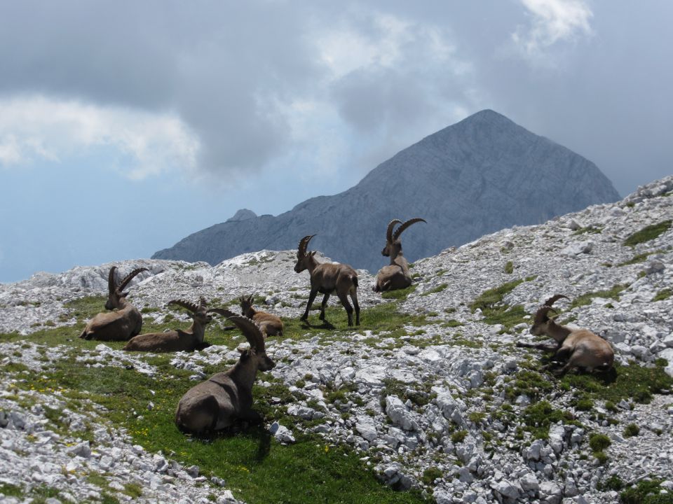 Triglav (avgust 2014) - foto povečava