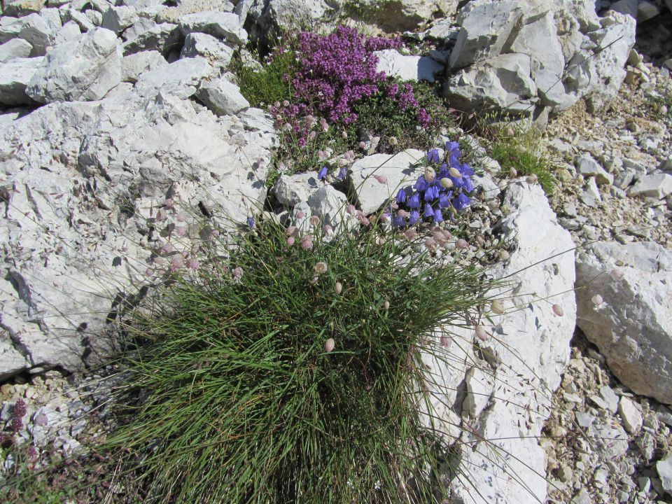 Dolomiti-Tofane (avg.2014) - foto povečava