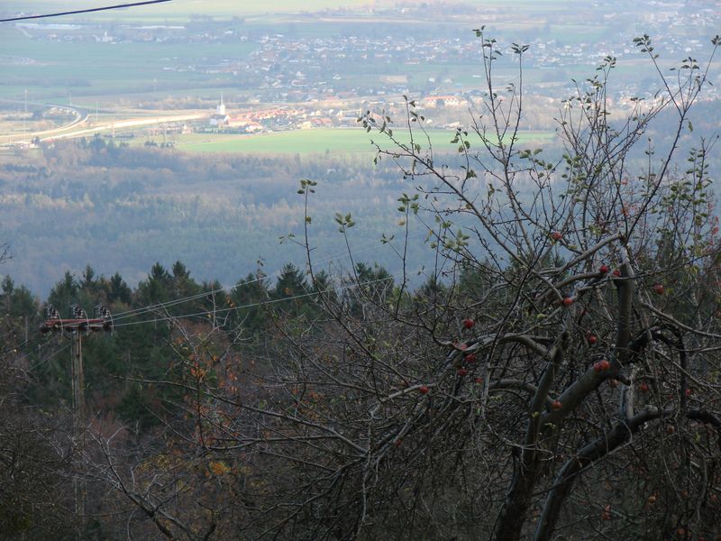 Radvanje-mariborska koca (nov.2014) - foto povečava