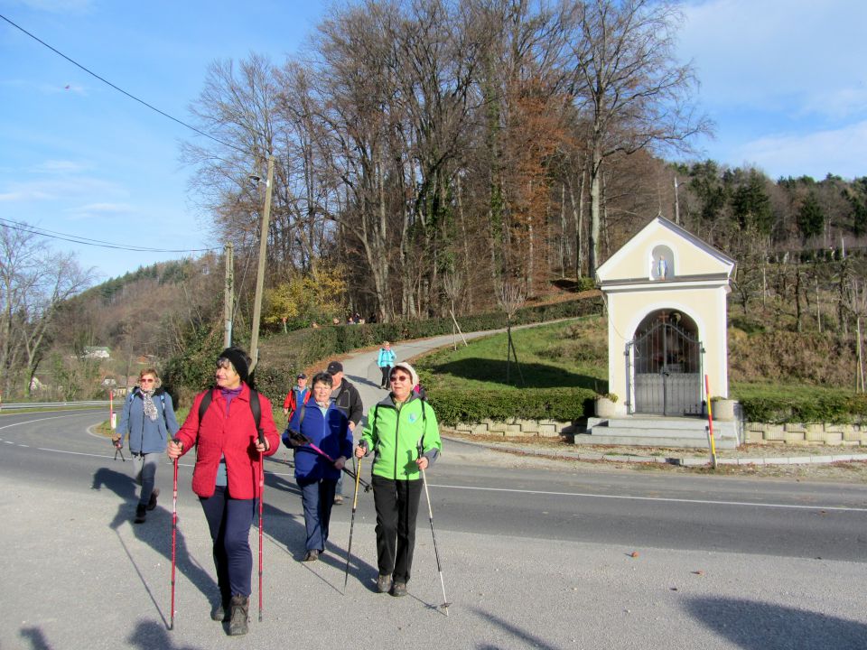 Grmada-vurberk (dec.2014) - foto povečava