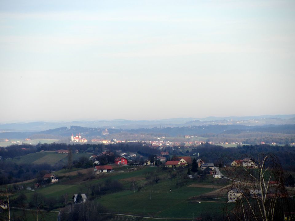 Grmada-vurberk (dec.2014) - foto povečava