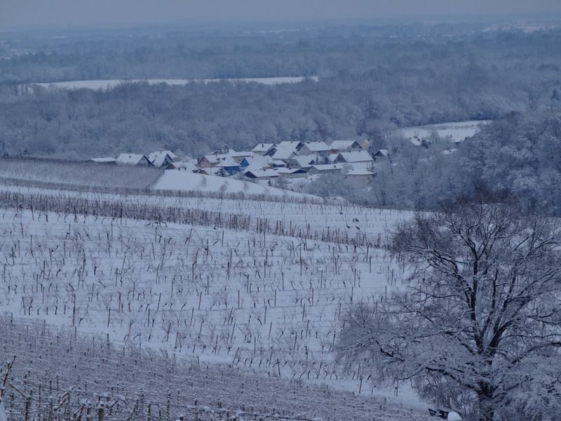 G. Radgona-Apače+ogl.t.(jan.2015) - foto povečava