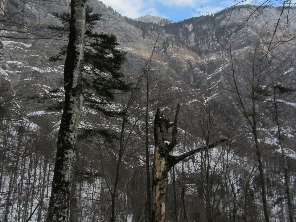 Komna (feb.2015) - foto povečava