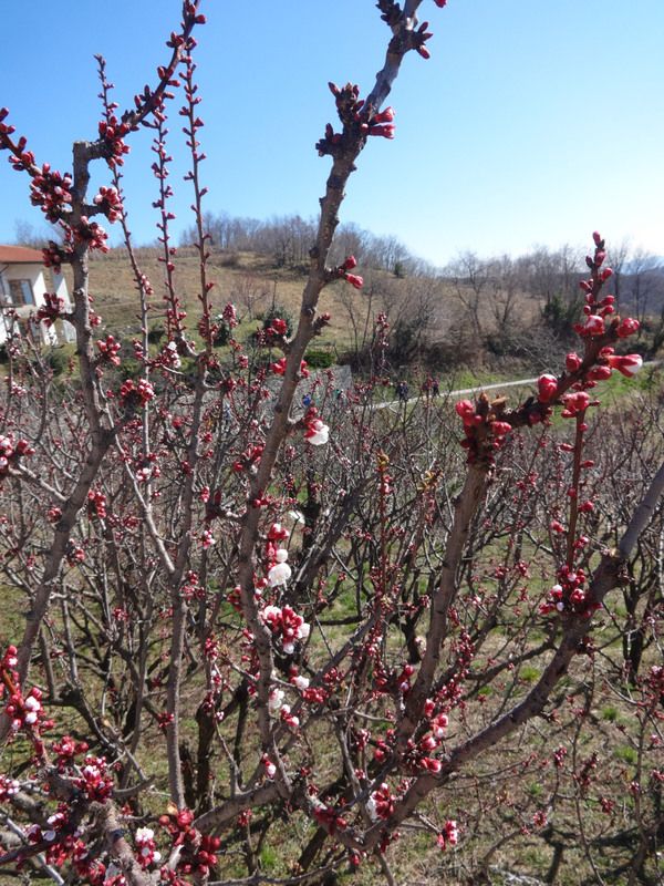 Pohod ob dnevu zena (mar.2015) - foto povečava