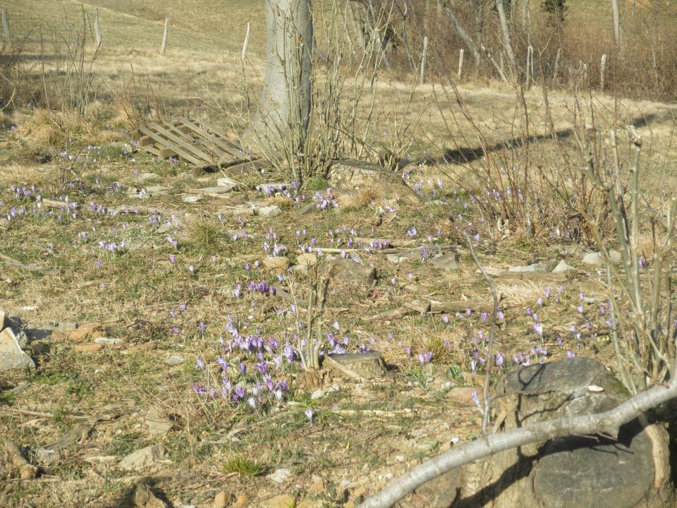 Pohod ob dnevu zena (mar.2015) - foto povečava