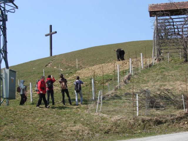 Polhograjsko hribovje (mar.2015) - foto