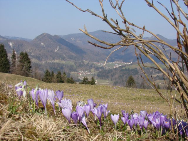 Polhograjsko hribovje (mar.2015) - foto