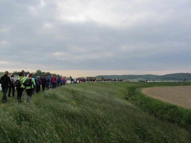 Praznovanje 40. let pd lenart (maj.2015) - foto