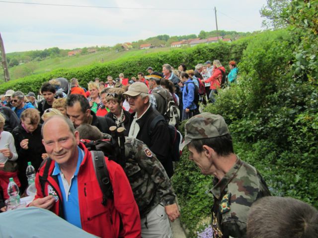 Praznovanje 40. let pd lenart (maj.2015) - foto