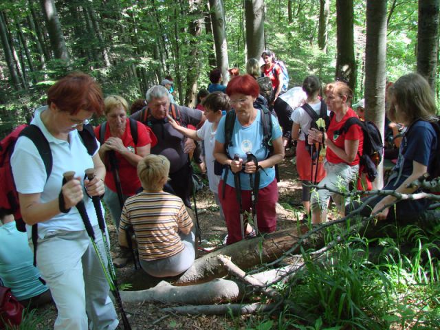 Krvavica-cemseniska pl. (maj.2015) - foto