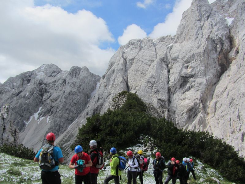 Mrzla gora (jun. 2015) - foto povečava