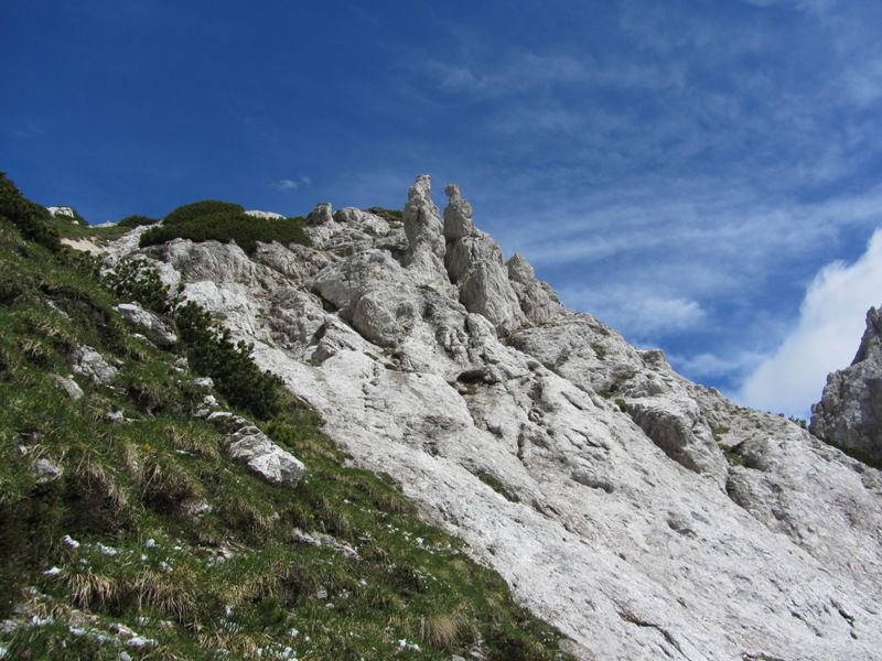 Mrzla gora (jun. 2015) - foto povečava