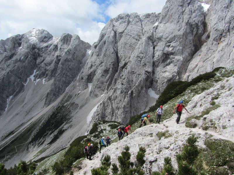 Mrzla gora (jun. 2015) - foto povečava