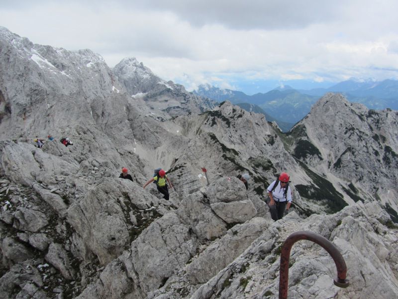 Mrzla gora (jun. 2015) - foto povečava