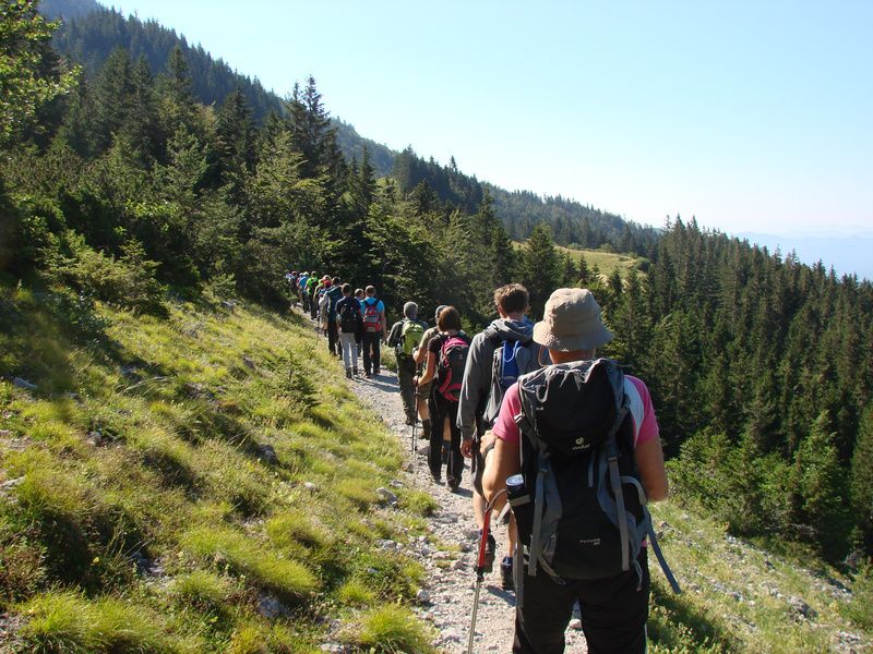 Stol+ogl.tura (jul.2015) - foto povečava