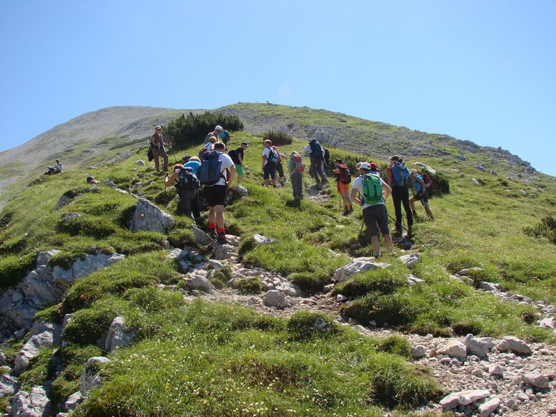 Stol+ogl.tura (jul.2015) - foto povečava