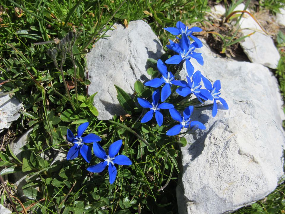 Triglav-cmir (jul.2015) - foto povečava