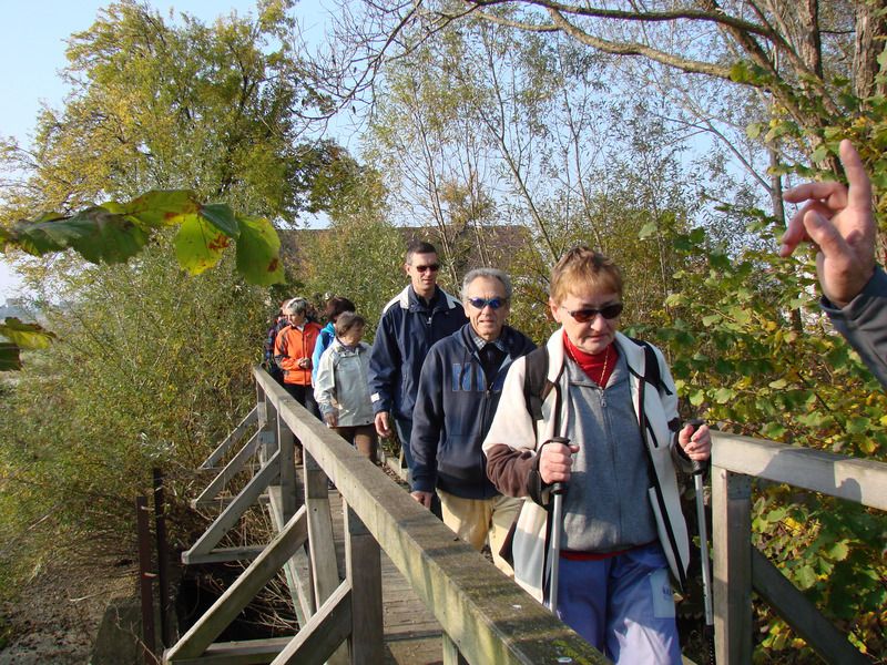 Pohod ob prazniku obcine lenart (okt.2015) - foto povečava