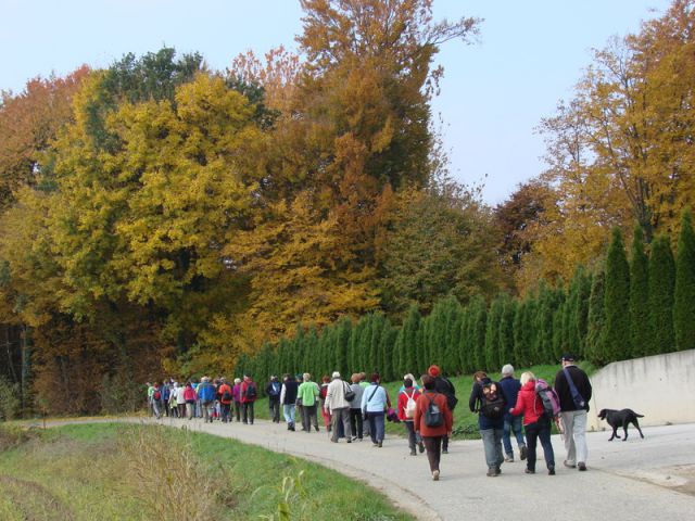 Pohod ob prazniku obcine lenart (okt.2015) - foto