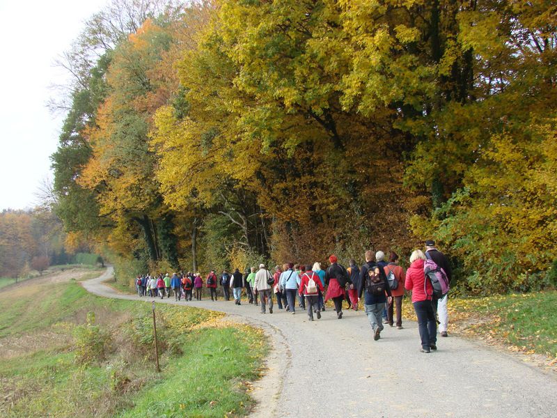 Pohod ob prazniku obcine lenart (okt.2015) - foto povečava