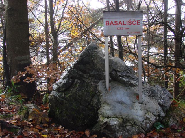 Paski kozjak (nov.2015+ogl.t.) - foto