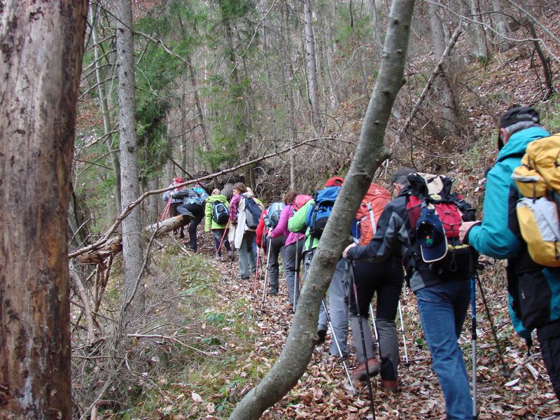 Paski kozjak (nov.2015+ogl.t.) - foto povečava