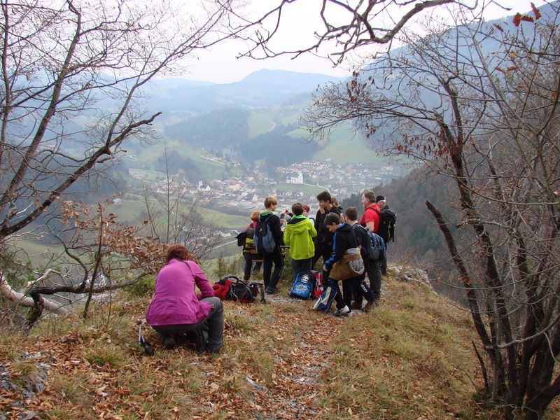 Paski kozjak (nov.2015+ogl.t.) - foto povečava