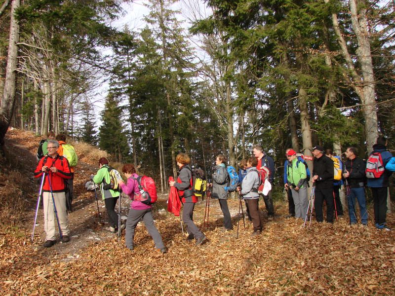 Paski kozjak (nov.2015+ogl.t.) - foto povečava