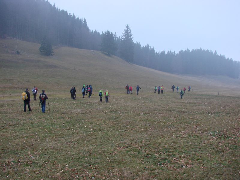 Paski kozjak (nov.2015+ogl.t.) - foto povečava