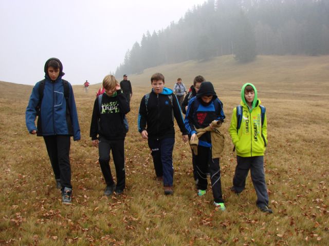 Paski kozjak (nov.2015+ogl.t.) - foto