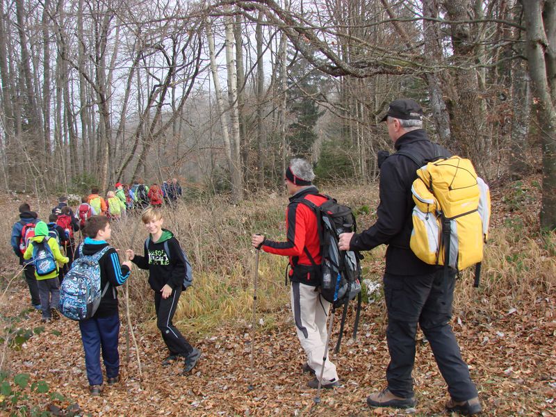 Paski kozjak (nov.2015+ogl.t.) - foto povečava