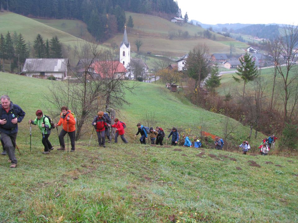 Paski kozjak (nov.2015+ogl.t.) - foto povečava