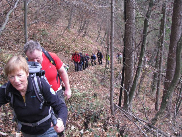 Paski kozjak (nov.2015+ogl.t.) - foto